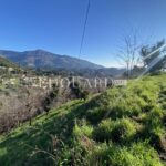 Beautiful building plot of land for sale with a panoramic view up to the sea, ideally located in Sainte Agnès – Featured
