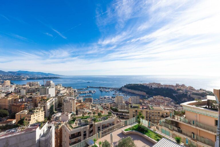 FOR SALE – MONEGHETTI – PENTHOUSE WITH PANORAMIC S..