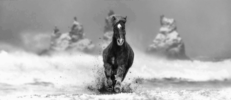 MY PERFECT STORM – EDITION 08/12

– Limited editio..