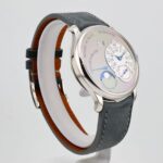 watch_176345984136519