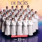fb1d99a71bca-a8ab87c335deb539c83bda8220f15cd4UwPzBd.jpeg