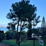 img-5376-1710609886