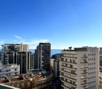FOR SALE – MAGNIFIQUE 3-ROOM APARTMENT – LE MILLEF..