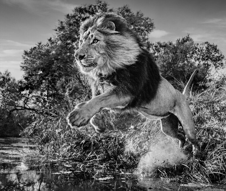 FOR SALE – DAVID YARROW“First Down” – Edition 9/..