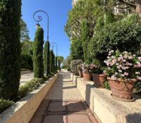 For Rent – 50 Meters from the Sea | 180° Panoramic Sea View | Fontvieille