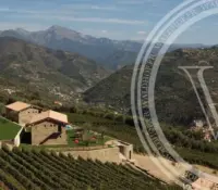 Premier Vineyard Estate and Turn-Key Winery in Dolceacqua