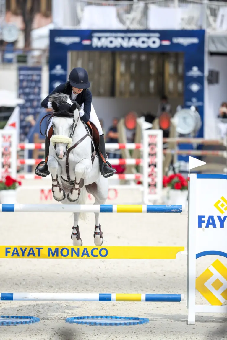 Monte-Carlo Jumping International