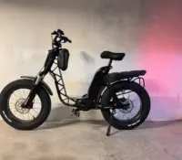 Fantic Issimo Urban Velo électrique Moteur Bafang ..