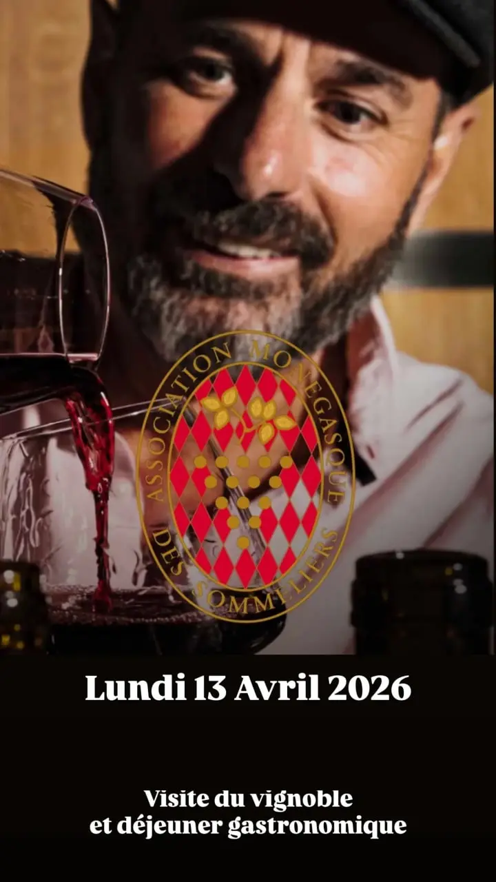 Visite du Vignoble et Déjeuner Gastronomique — AMS