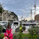 27-Property-Monaco