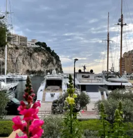 27 Property Monaco