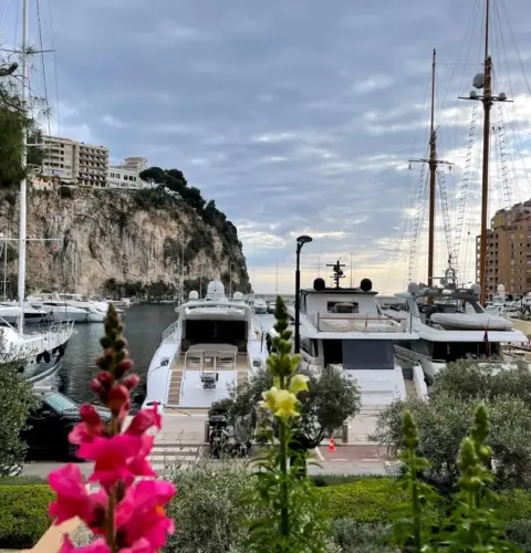 27 Property Monaco