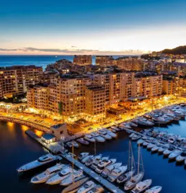 Agence Roc Agency Real Estate