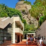 Jardin-Animalier-de-Monaco