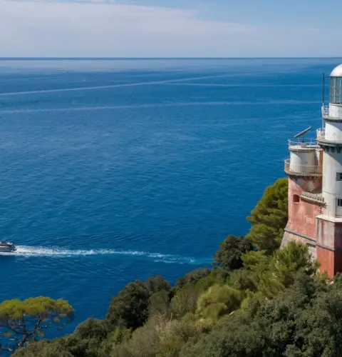 Mediterranean Yacht Management
