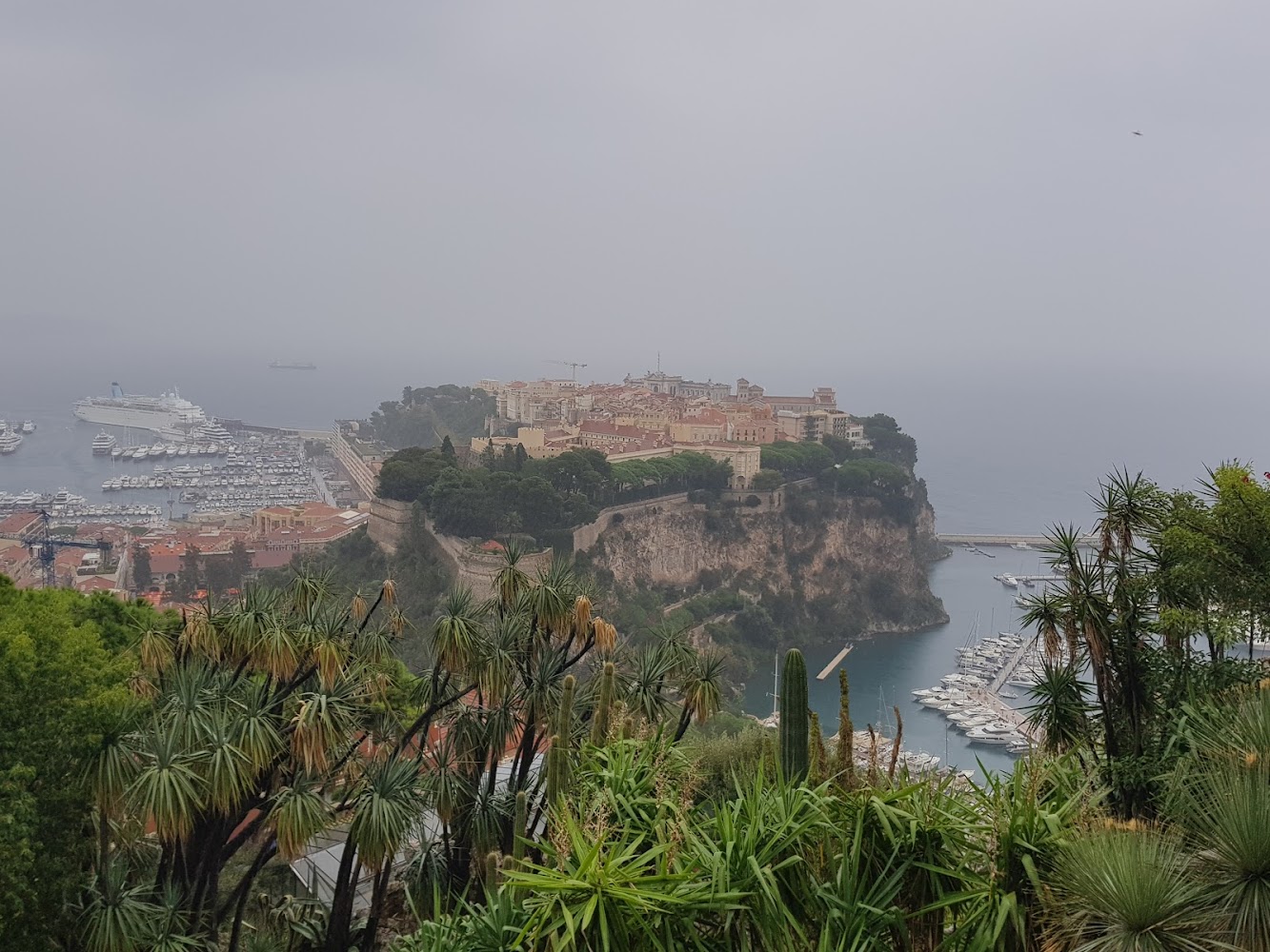 Parents Association D’elèves Des Ecoles De La Principauté De Monaco