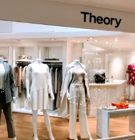 Theory